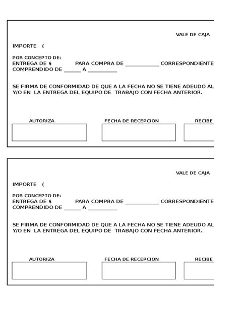 Formato De Vale De Caja