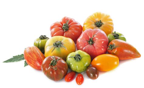 Varieties Of Tomatoes Stock Image Image Of Ingredient 31861927