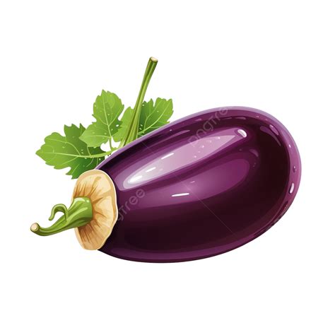 Eggplant Flat Illustration Eggplant Aubergine Vegetable Png