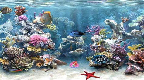 Clear Aquarium Screensaver