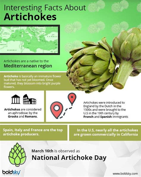 10 Amazing Nutritional Health Benefits Of Artichokes Artichoke