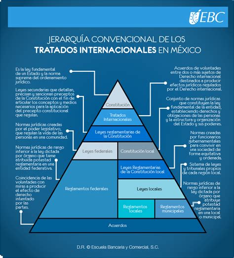 JerarquÍa De Las Leyes En MÉxico Social Media Course Lawyer Carrera
