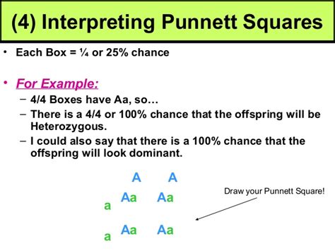 Let's take a look at how punnet squares work using the. Biology unit 5 genetics punnett square notes