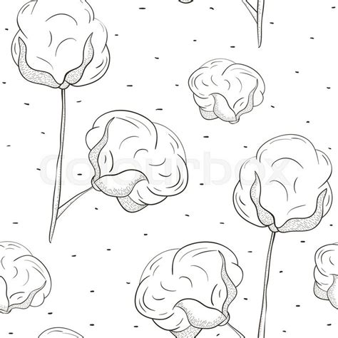 Cotton Boll Drawing At Getdrawings Free Download