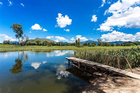 Hong Kong Wetland Park New Territories Attractions Go Guides