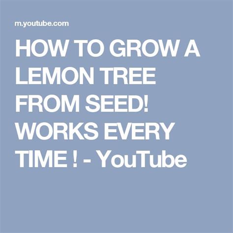 How To Grow A Lemon Tree From Seed Works Every Time Youtube