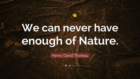 henry david thoreau quote “we can never have enough of nature ”