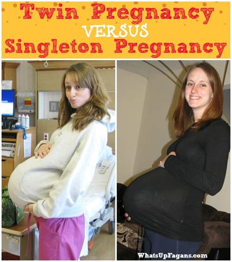 Pregnant Belly Vs Twins Pregnantbelly