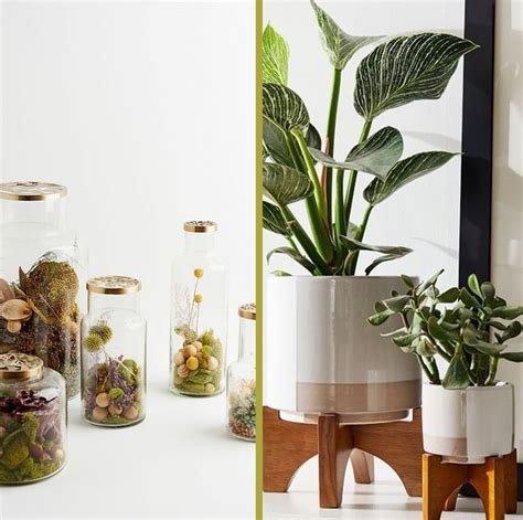As popsugar editors, we independently select and write about stuff we love and think you'll like too. 40 Best Gifts for Plant Lovers - Cute Plant Gift Ideas 2020