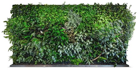 Green Wall Texture Png