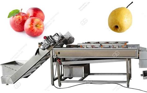 Automatic Citrus Apple Pear Washing Machine