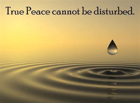 What Is Called Peace By Many Is Merely The Absence Of Disturbance True
