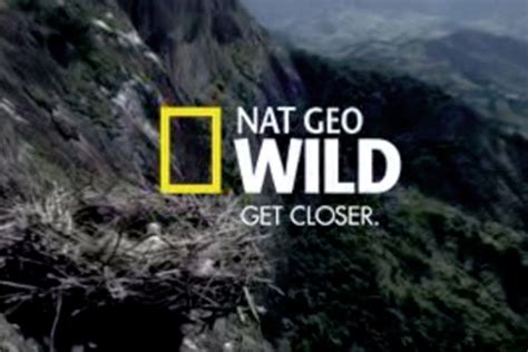 Nat Geo Campaign Underscores Filmmaking Rigour Media Campaign Asia