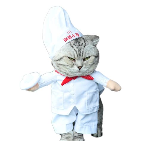 Funny Cat Costume Chef Style Clothes For Dogs Halloween
