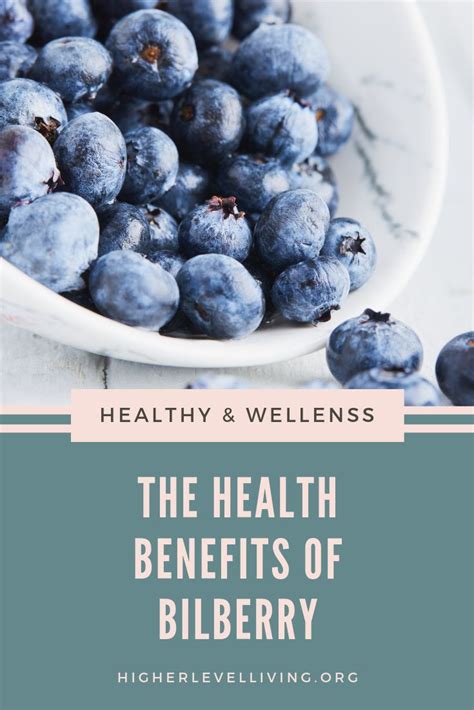 The Health Benefits Of Bilberry Supplements Superfoods Health And
