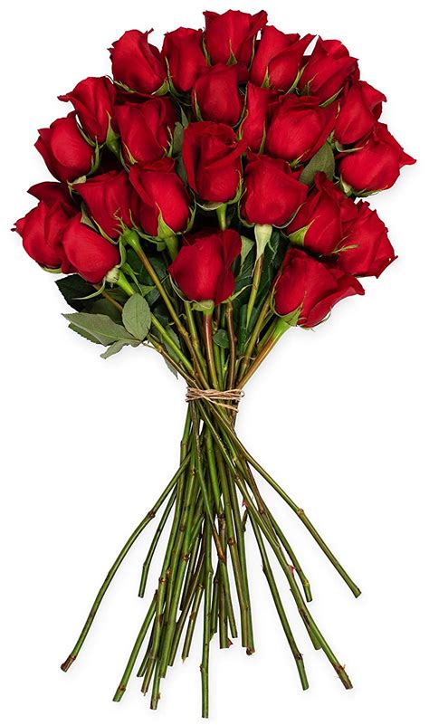 Benchmark Bouquets 2 Dozen Red Roses No Vase Fresh Cut