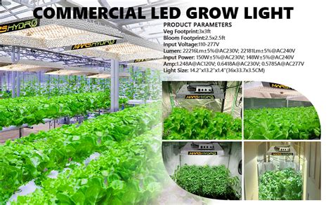 Conclusion of full spectrum grow lights and plants grow. MARS HYDRO TS 1000W Led Grow Light 3x3ft Sunlike Full ...