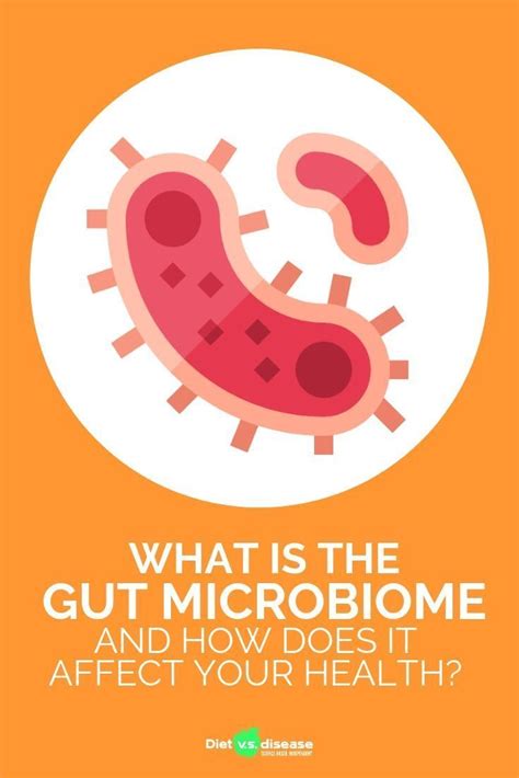 What Is The Gut Microbiome And How Does It Affect Your Health Diet