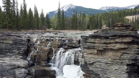 Athabasca Falls Hike Why Its The 1 Thing To Do In Jasper National Park