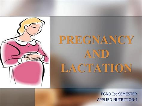 Pregnancy And Lactation Ppt Download