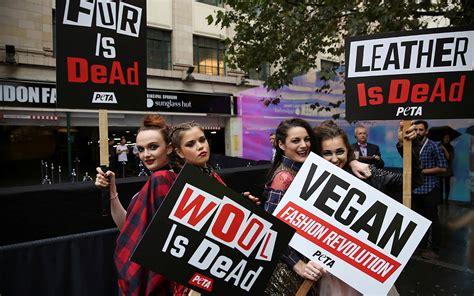 Peta S Offensive Ad Was Banned From London Buses Fox News