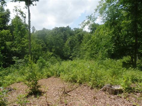 20 acres in Greene County, Indiana