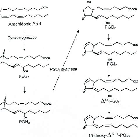 Synthesis Pathway Of Cyclopentenone Prostaglandins Of The J Series Download Scientific Diagram