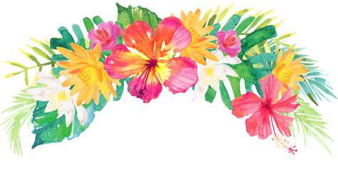 Headband Drawing Floral Transparent Background Tropical Flowers Png