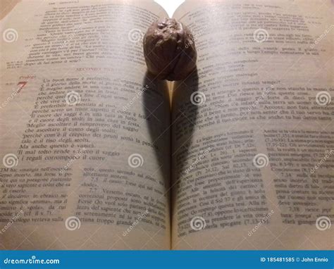 a nut in the pages of the bible stock image image of bible religion 185481585