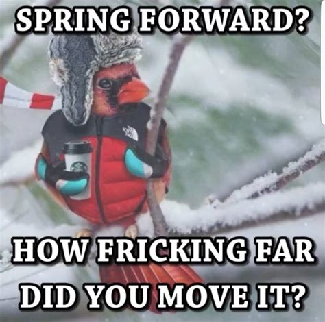 Top 10 Funny Spring Snow Memes That Will Keep You Laughing For Hours