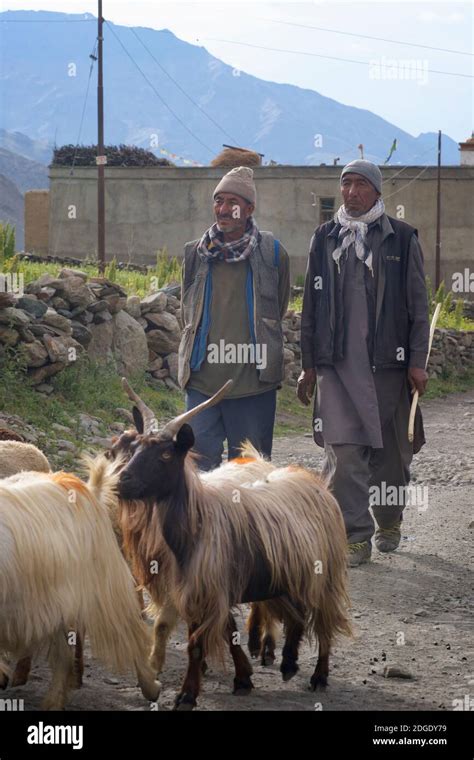 Kashmiri Farmers High Resolution Stock Photography And Images Alamy