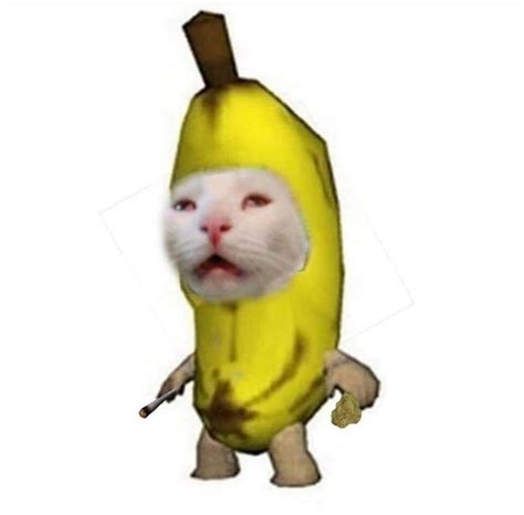 Iii Matching Icons Banana Cat Funny Animal Pictures Cat Memes