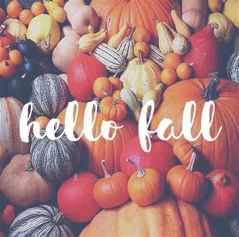 Happy Fall Everyone Some Inspirational Quotes Happy Fall