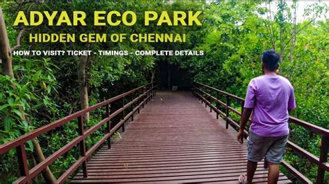 Adyar Eco Park Chennais Best Kept Secret For Nature Lovers