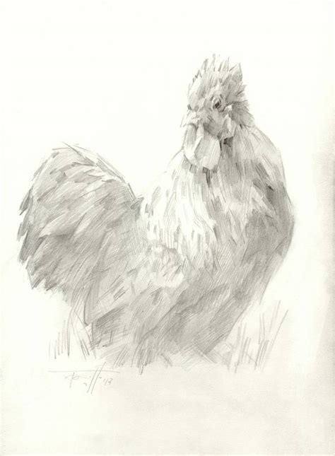 Rooster Drawing By Vera Bondare Saatchi Art