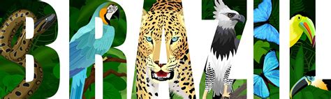 Discover Brazils Wildlife Tailor Made By South America
