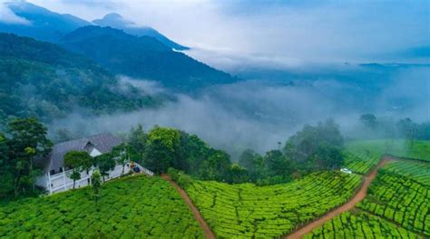 11 Top Tourist Attractions In Munnar By Road In 2021 Sightseeing And