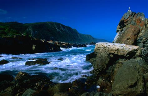 Garden Route National Park Tsitsikamma Section Travel South Africa