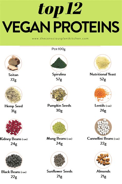 Vegan Protein Source Chart The Conscious Plant Kitchen