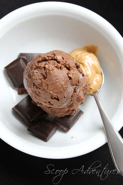 Chocolate Peanut Butter Ice Cream KeepRecipes Your Universal Recipe Box