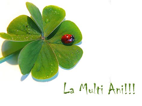 Mesaje de la mulți ani și felicitări de ziua de naștere. La multi ani! Mirela | Blog luiza