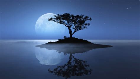 Tree Island Stars Reflection The Moon Water Photo Tree