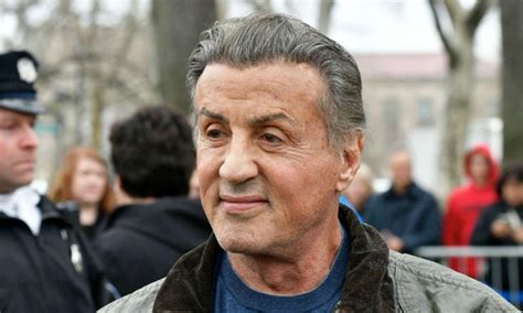 Sylvester Stallone Will Not Be Charged Over Sexual Misconduct Allegations