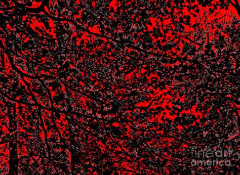 Black Gray Red Tree And Leaf Abstract Pattern Photograph