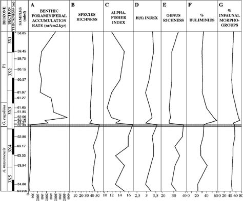 Benthic Foraminiferal Indices Across The Kpg Boundary At Dsdp Hole