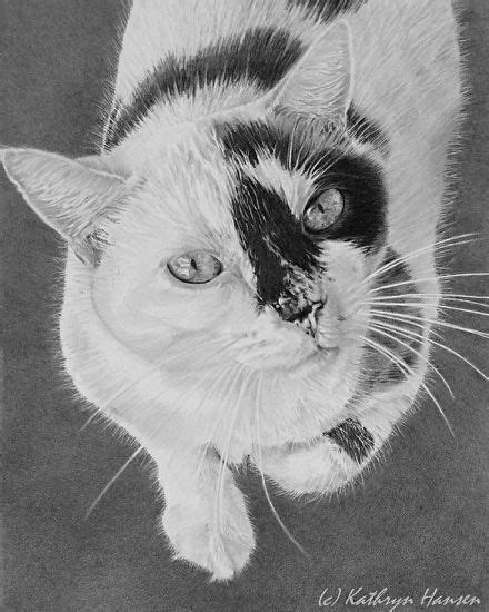 Sweetie By Kathryn Hansen Graphite Pencil ~ 10 X 8 Cat Art Pet