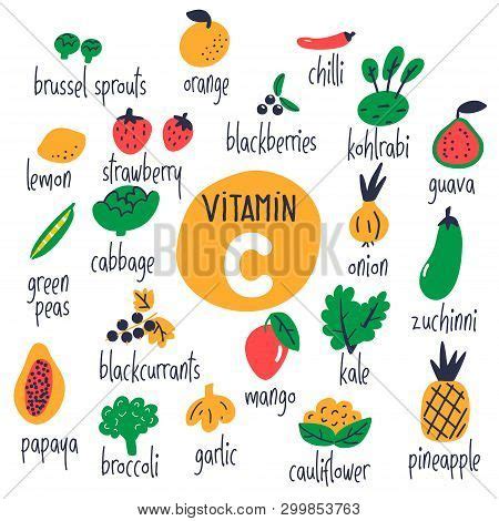 Vitamin C Food Vector Photo Free Trial Bigstock