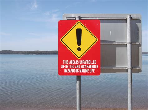 Most tiger shark attacks are in hawaii. Swimming with the sharks; Lake Macquarie - Australia ...