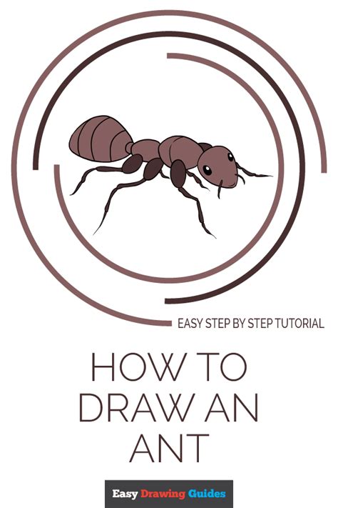 How To Draw An Ant Really Easy Drawing Tutoria
