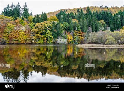 Colourful Autumn Reflections On Loch Faskally Near Pitlochry In